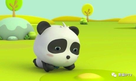 熊猫旅行须知_800字