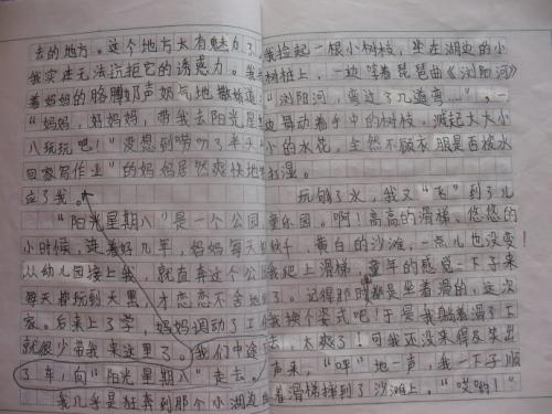 四年级图片构图：在家宾客3_350字