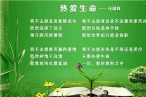 关于生活的构图：生活精彩，因为阅读了800字