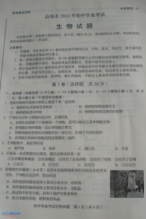2015山东淄博高中入学考试满分：有一棵这样的树_1200字
