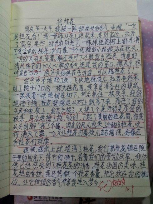 六年级作文：我喜欢桂花_600字