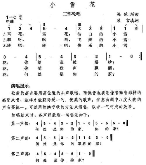 关于雪花的构图：如果我变成了小雪花，请输入650个字