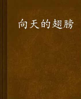 高中小说：Wings_1500字