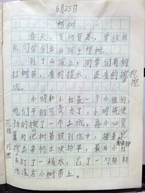 小学二年级写作活动作文：范文_300字