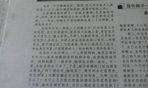 关于自然的构图：对自然的感知（4）_800字