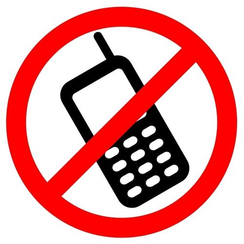 时事论据材料：法国出台了“校园手机禁令”，我们应该效仿吗？ _800字（2）