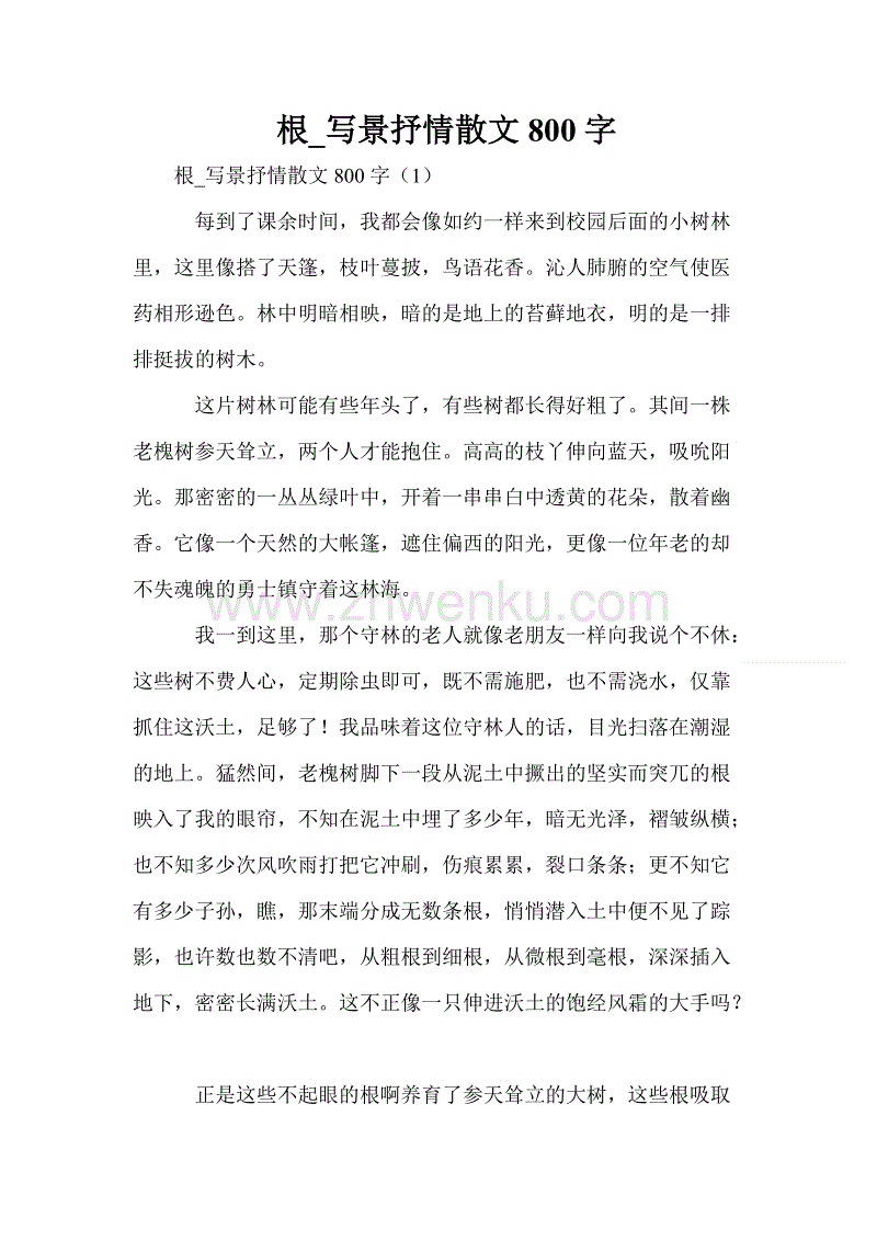 高一学生作文：北方特色_900字