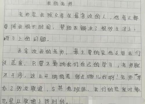 一年级的作文：我的新老师_800字