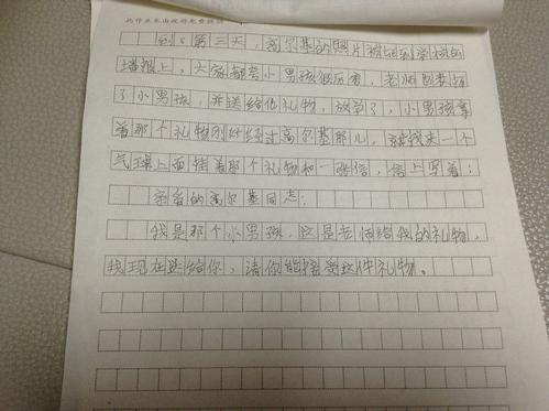 继续写“小摄影师” _450字