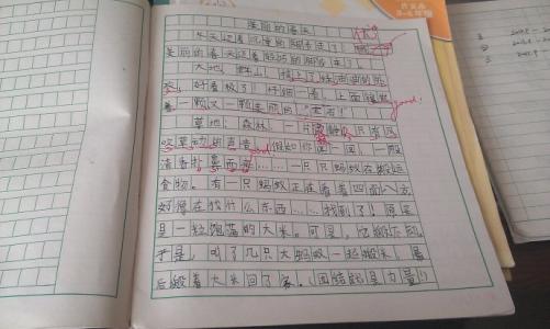 三年级期末考试作文：肉质观察日记（六）_300字