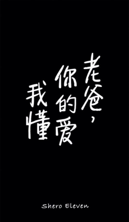 我爱我父亲_250字