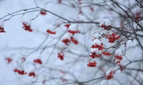 十年前下雪_400字