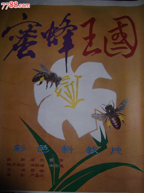 蜜蜂王国历险记_500字