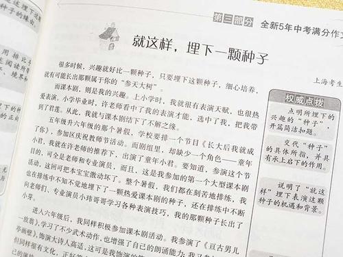 2008甘肃省高考全班作文欣赏-有这样的声音（3）_800字