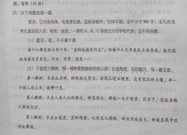 2017年重庆高考教材组成样本论文：百年芬芳回忆
