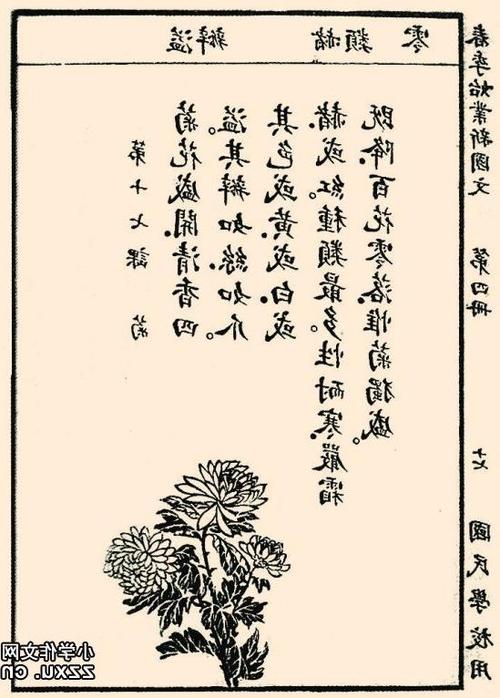 初中一年级的风景构成：美丽的校园_800字