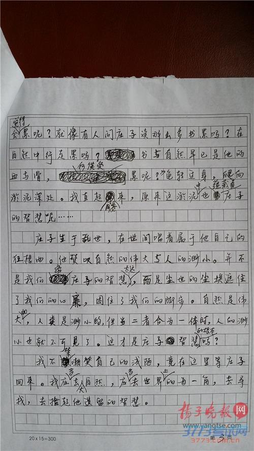 2014年浙江省高考全场作文：我的方式，我的门_800字