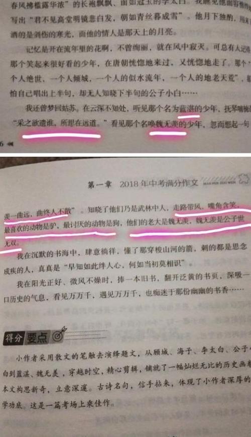 2008浙江省高考全班作文赏析-动静的心藏在刺槐下_900字