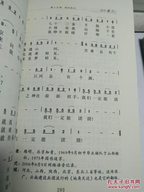[2013夏季随笔]青春咏叹调_1200字