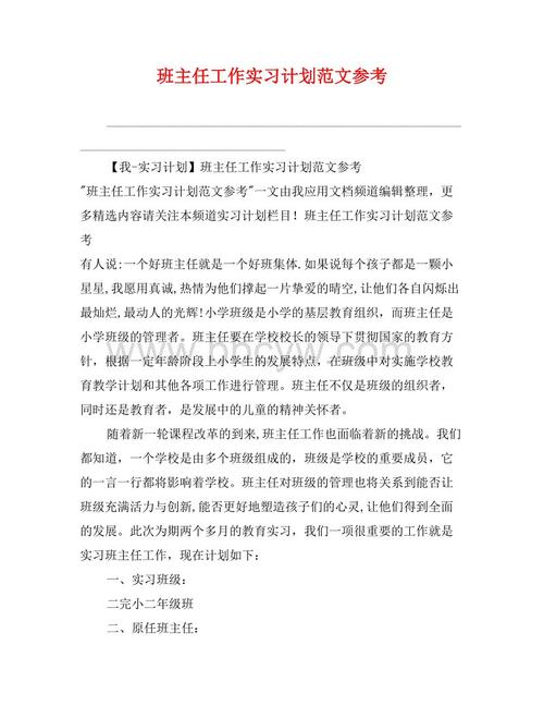 班主任实习计划模板（1）