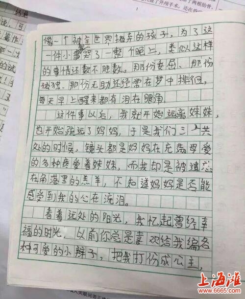 二年级英语作文：昵称_250字