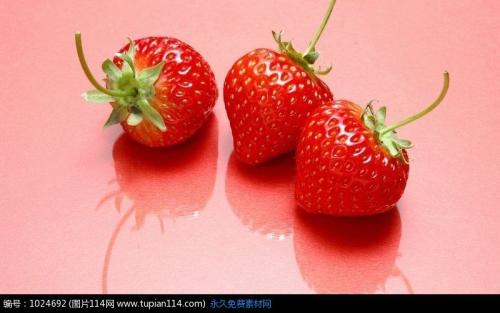 Strawberry_500字