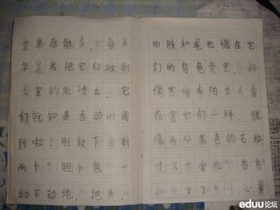 2019江苏盐城高中入学考试全场作文：真有趣（3）_700字