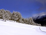 关于雪景的构图：美丽的雪景_550个单词