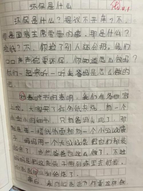 环保随笔：环保专家_300字