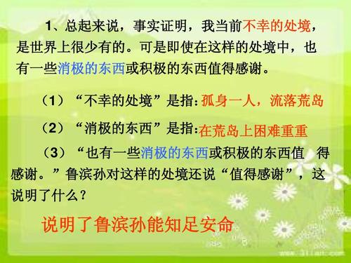 你满意吗？ -关于阅读《鲁滨逊漂流》的思考_1000字