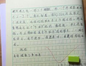 给林浩的一封信_500字