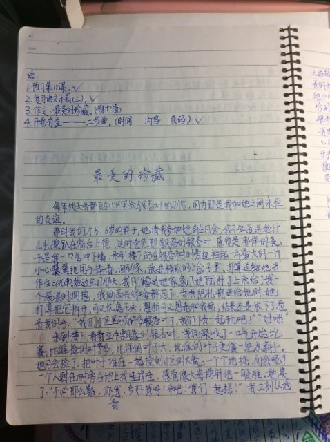 小生初作文写作指南：作文十大技巧_2000字