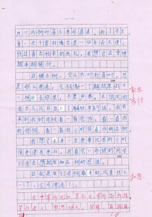 关于美的构图：优美的风景_600字