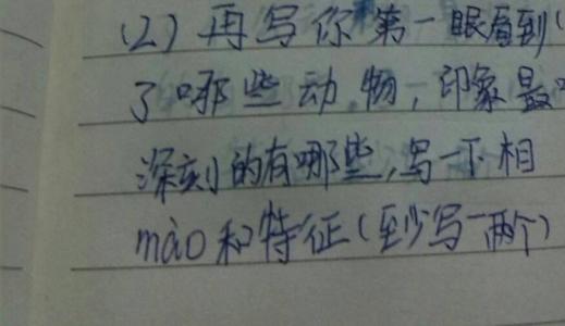 爱动物_500字