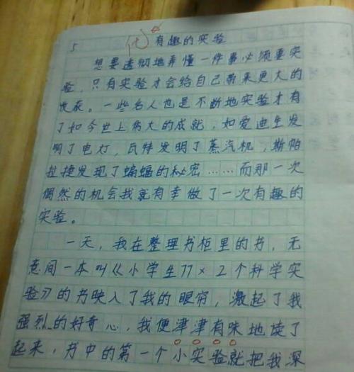 我爱我的家人（20）_300字