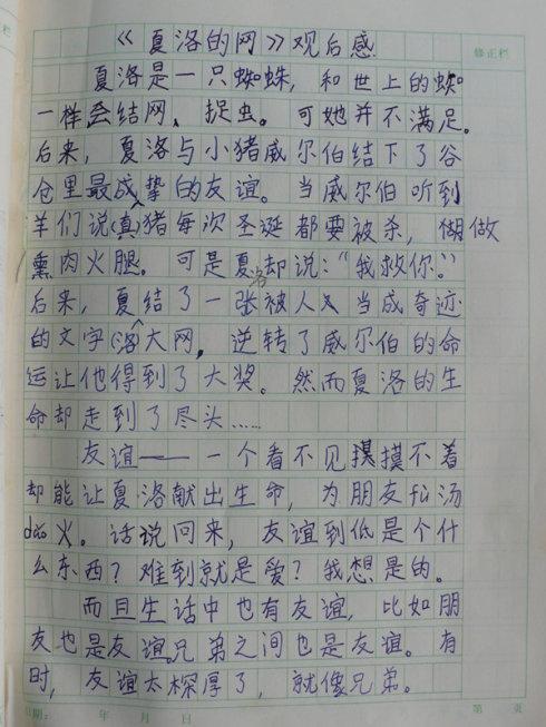 [PK赛]关于阅读感受的写作：迎接风雨_500字