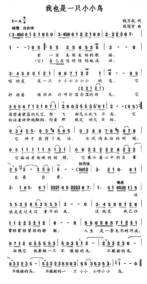 我是只小鸟_550字