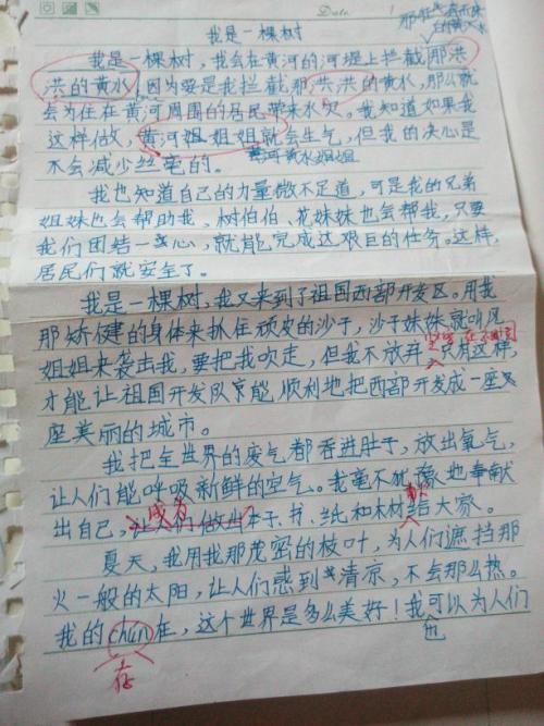 树的守护者_400字