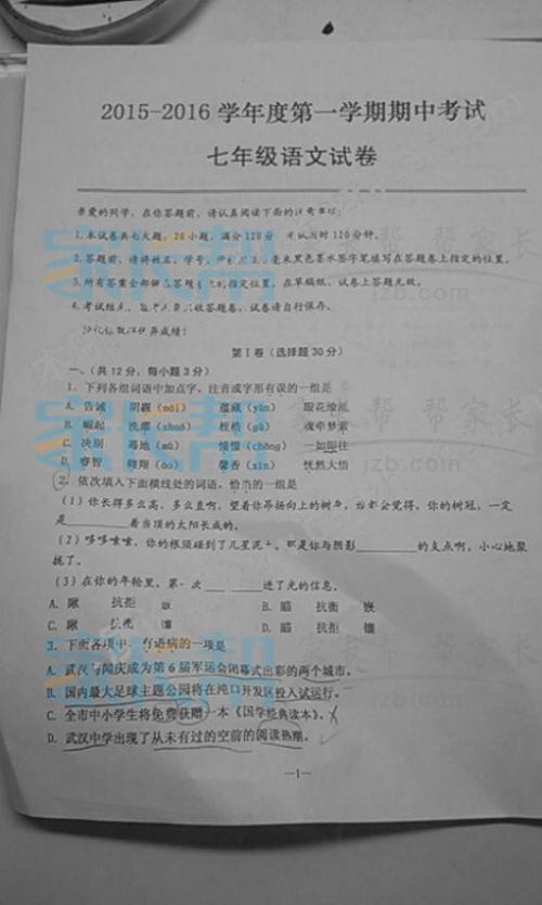 中期汉语考试_350字