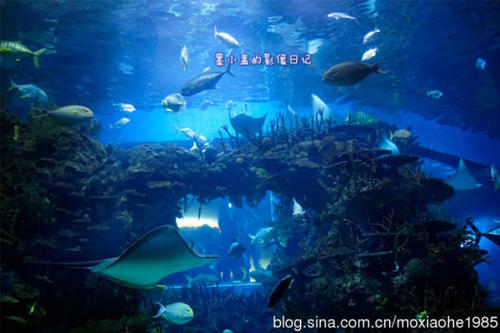 北京旅游笔记：海底世界_550字