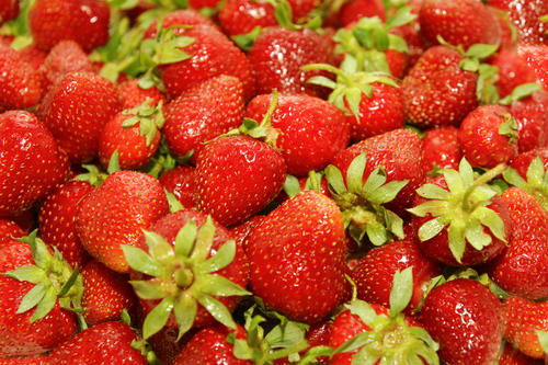 我最喜欢的水果草莓900字