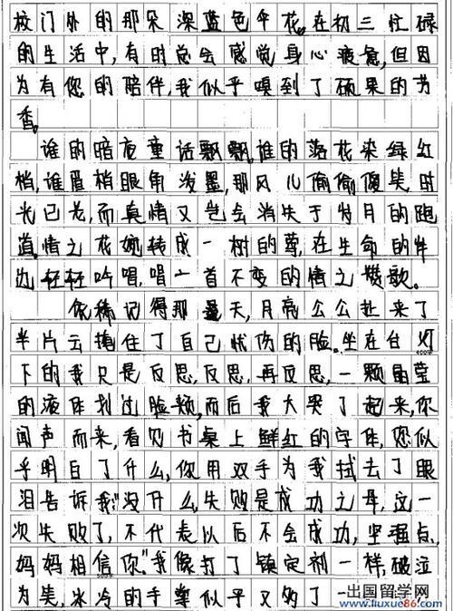2009陕西省高中入学考试满分：作文细心（3）_1200字