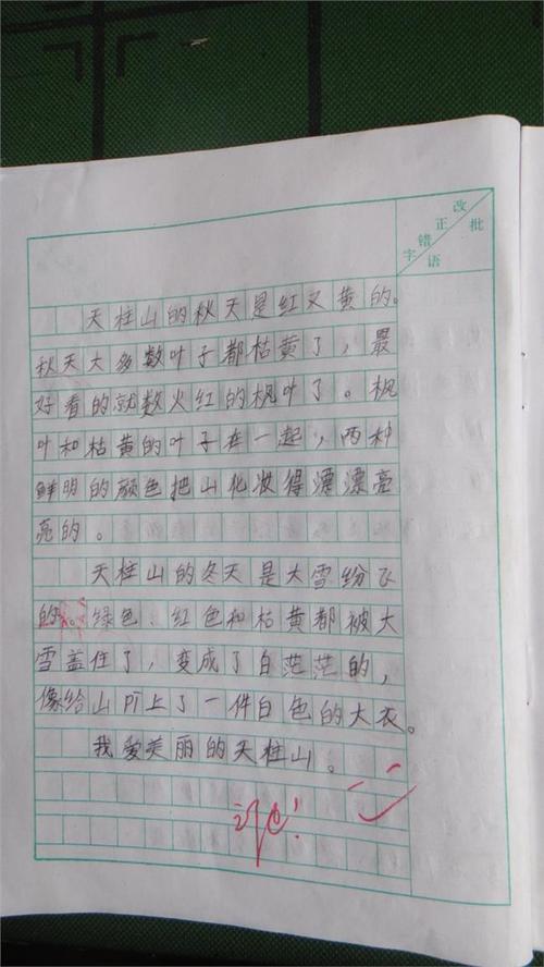 小学二年级景观构成：故乡好评_1200字