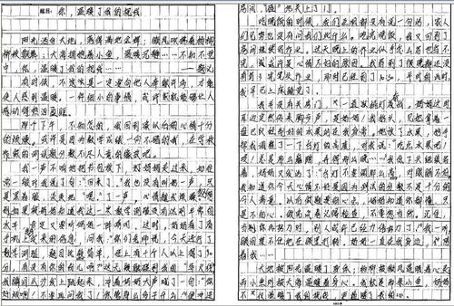 世界依然温暖_400字