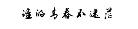 Confused_900字