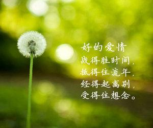 关于人生感悟的名言_3000字