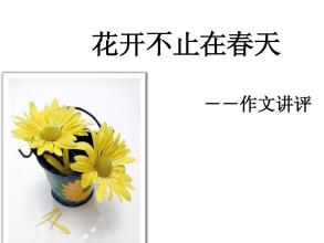 花开，不仅在spring_1000字