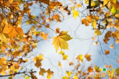 描述秋天的词：秋天，秋天的景色，秋天的爱