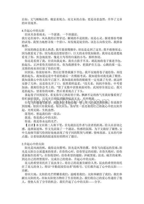 2011潍坊市高中统考全场作文：心中升起的阳光（3）_650字