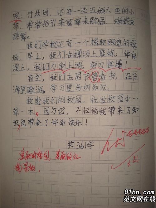 小学作文指导：学习必读_1500字